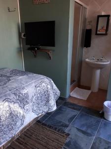 a bedroom with a bed and a sink and a television at Forget me Not Lydenburg in Lydenburg