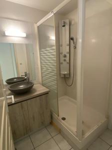 a bathroom with a shower and a sink at Appartement F2 centre-ville Saint-André in Saint-André
