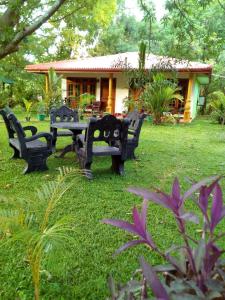 Sodas prie apgyvendinimo įstaigos Sigiriya Ranasinghe Nature Villa