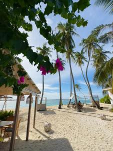 a beach with palm trees and the ocean at Met House in Thulusdhoo