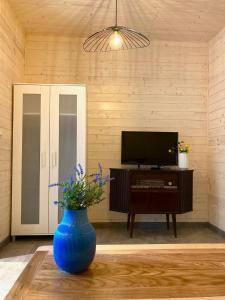 sala de estar con TV y jarrón azul en Apartamenty Atol en Pogorzelica