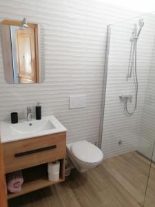 Hrvatini的住宿－Gordia organic winery，浴室配有卫生间、盥洗盆和淋浴。