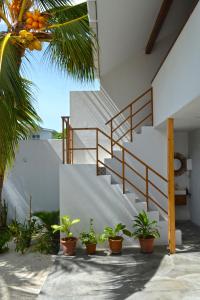 a staircase in a house with potted plants at Athirige Private Villa Dharavandhoo in Dharavandhoo