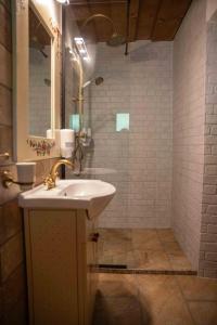 Billede fra billedgalleriet på Due Fratelli Village Resort i Şinteu