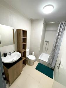 a bathroom with a sink and a toilet and a shower at Apartmány Plzeň Zborovská 22 a in Plzeň