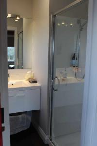 a bathroom with a shower and a sink at The Studio - Huntly House in Auckland