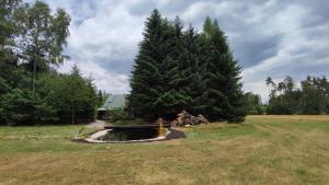 Taman di luar Na samotě u lesa