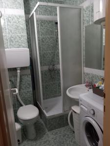 a bathroom with a shower and a toilet and a sink at Apartment Budva in Budva