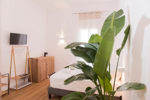a bedroom with a bed and a large plant at ALMAMI Loft & Rooms in Monopoli