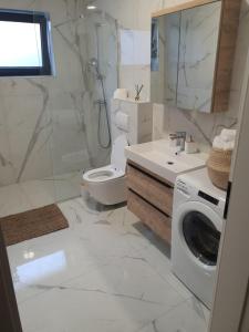La salle de bains est pourvue de toilettes et d'un lave-linge. dans l'établissement Apartman SIMON-CENTAR, à Nova Gradiška