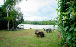 Příroda nedaleko bed and breakfast