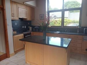 a kitchen with a island with a vase of flowers on it at Coastal village retreat in Castletownshend