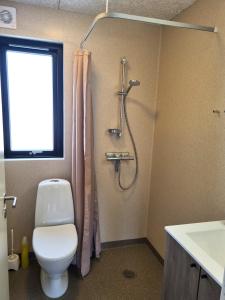 a bathroom with a toilet and a shower at Randers City Camp in Randers