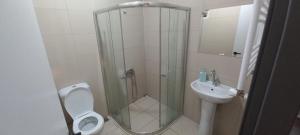La salle de bains est pourvue d'une douche, de toilettes et d'un lavabo. dans l'établissement evim pansiyon konaklama, à Bostancılı