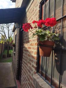 Una ventana con una maceta de flores rojas. en Armonía en Victoria