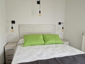 パネスにあるApartamentos Villa de Panes - La Plazaのベッドルーム1室(緑の枕付)