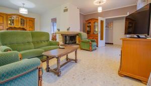 a living room with green furniture and a fireplace at Gîte 10G263 in Arcis-sur-Aube