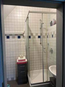 La salle de bains est pourvue d'une douche et d'un lavabo. dans l'établissement Zimmer zum vermieten direkt an der Donau und am Schloss, à Neubourg-sur-le-Danube