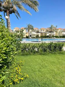 a yard with a swimming pool and palm trees at Stella Heights villa - next to Marassi - North coast in El Alamein