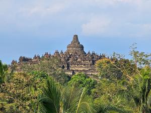 a building on top of a hill with trees at Hotel Le Temple Borobudur in Borobudur