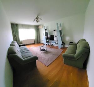 un salon avec deux canapés verts et un salon avec dans l'établissement Ultracentral apartament -Mihaela, à Arad