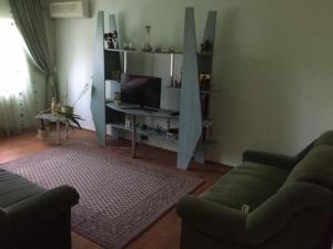 een woonkamer met 2 banken en een televisie bij Ultracentral apartament -Mihaela in Arad