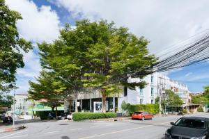 a street with a tree and cars on the road at Blu Monkey Bed & Breakfast Phuket - SHA Plus in Phuket Town