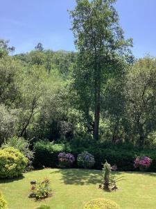 Φωτογραφία από το άλμπουμ του Vivienda Rural - Apartamentos La Cueva - Hornedo σε Entrambasaguas