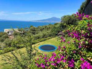 a garden with purple flowers and a blue pool at Corte Degli Ulivi Resort in Vico Equense