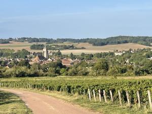 a dirt road through a vineyard with a village in the background at Gite du pommerat in Villenauxe