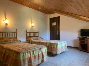a hotel room with two beds and a television at Alberg Vall de Boi in Barruera