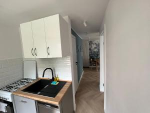 Kuchyňa alebo kuchynka v ubytovaní LTC Apartments Wzgórze św Maksymiliana