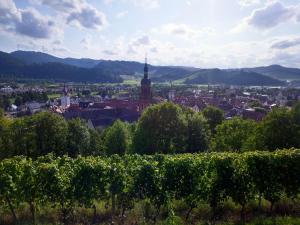 uma vista para uma cidade a partir de uma vinha em Ferienwohnung Sester em Gengenbach