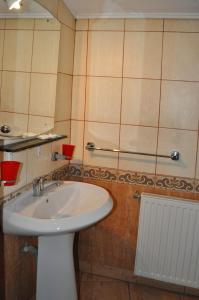 y baño con lavabo y ducha. en Pension Flamingo, en Brasov