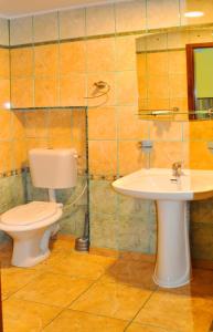 y baño con aseo y lavamanos. en Pension Flamingo, en Brasov