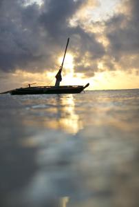 صورة لـ Diani Sea Lodge - All Inclusive في شاطئ دياني