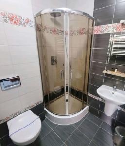 La salle de bains est pourvue d'une douche, de toilettes et d'un lavabo. dans l'établissement Chelosiowy Dworek, à Jaworznia