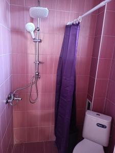 y baño con ducha, aseo y cortina de ducha. en Студио Ариел, en Varna