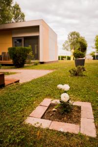 Zahrada ubytování Enigma Resort