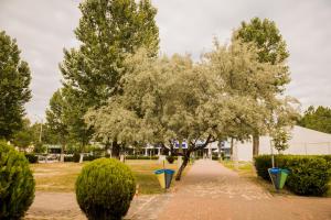 Zahrada ubytování Enigma Resort