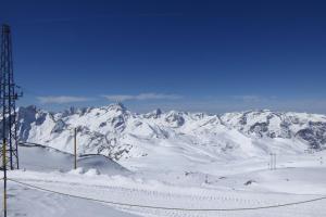 CHALET LES SEQUOIAS DEUX ALPES talvel