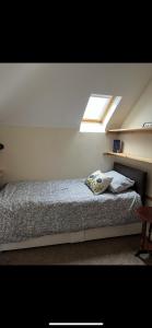 a bedroom with a bed with a skylight at Ebenezer in Carnlough