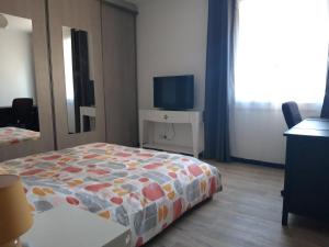 a bedroom with a bed and a television in it at La maison de vacances 3 chambres in Sausset-les-Pins