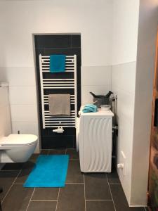 een badkamer met een wit toilet en een blauw tapijt bij Ferienwohnung Mader in Kolsass