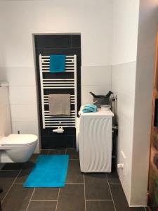 a bathroom with a white toilet and a blue rug at Ferienwohnung Mader in Kolsass