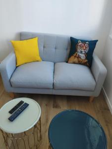 a blue couch with a tiger pillow and a table at Studio moderne, place parking privé, emplacement idéal à 100 m du lac. in Annecy