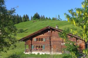 een houten huis met een groene heuvel op de achtergrond bij Hami in Adelboden