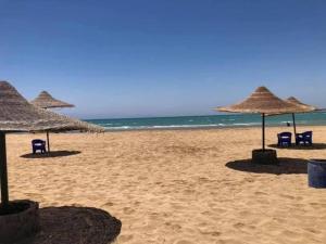 una playa con sombrillas y sillas y el océano en Blu lagon en Ras Sedr