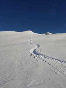 CHALET LES SEQUOIAS DEUX ALPES talvel