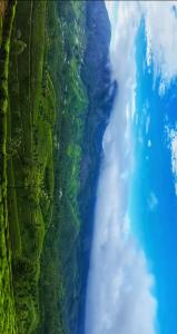 Fotografie z fotogalerie ubytování Wildnature v destinaci Devikolam